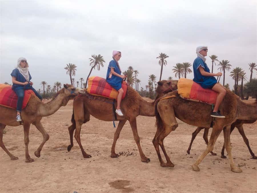 From Marrakech: Camel Ride, Quad Bike & Spa Full-Day Trip - Why this day works so well