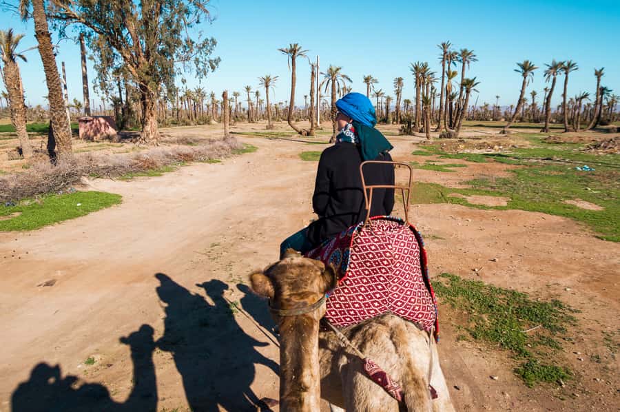 From Marrakech: Camel Ride, Quad Bike & Spa Full-Day Trip - Camel riding beneath palms and orange trees