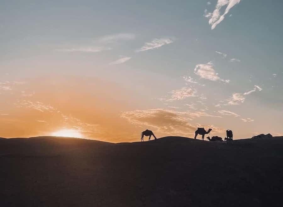 From Marrakech: Dinner show in Agafay Desert & Sunset Quad - A quick Agafay photo stop