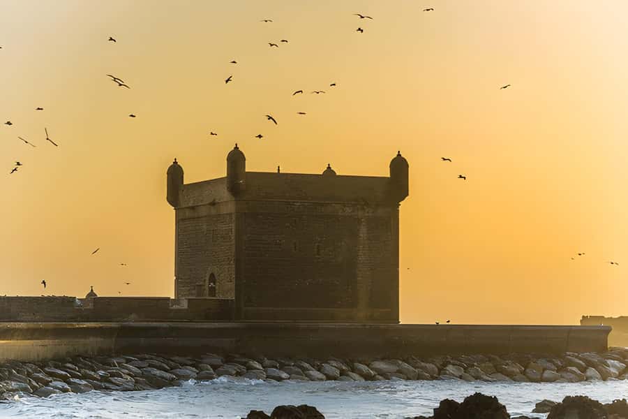 From Marrakech: Essaouira day Trip with camel, horse & quad - Four hours to find your own Essaouira
