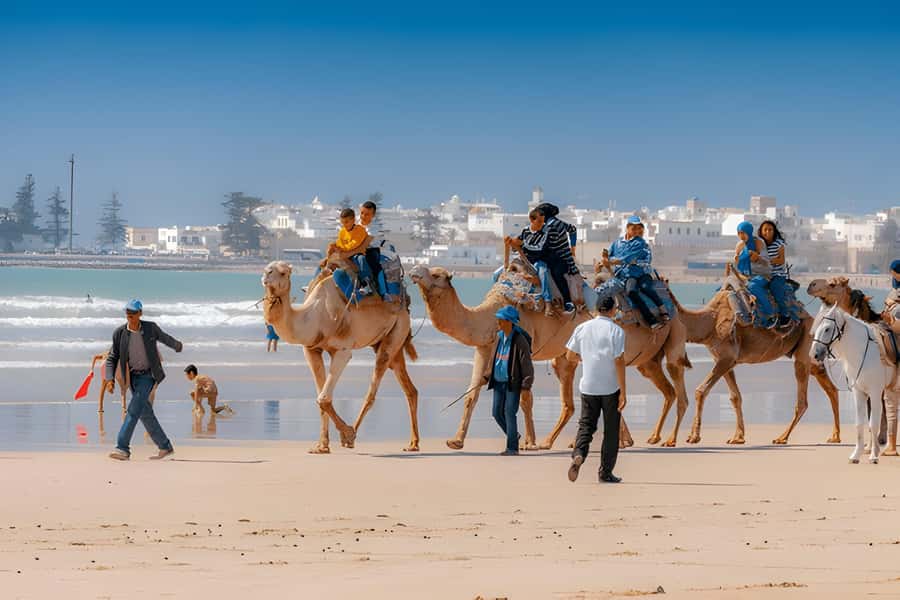 From Marrakech: Essaouira day Trip with camel, horse & quad - What the $20 price really buys you