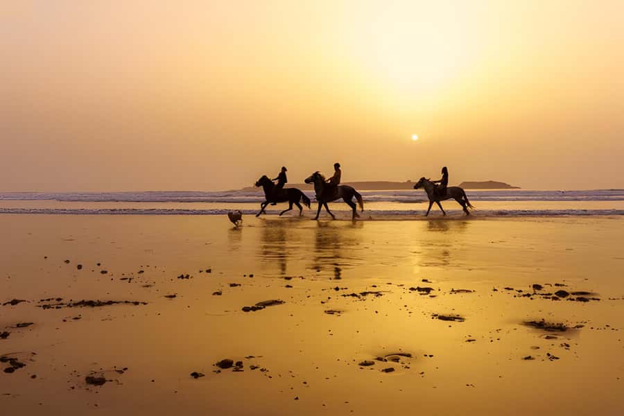 From Marrakech: Essaouira day Trip with camel, horse & quad - The return to Marrakech