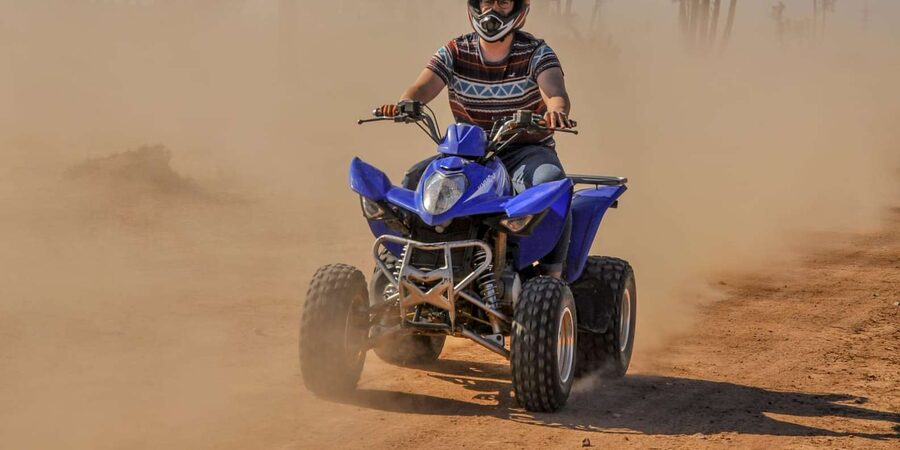 From Marrakech: Palm Grove Quad Bike Tour with Mint Tea - How this compares with other Marrakech activities