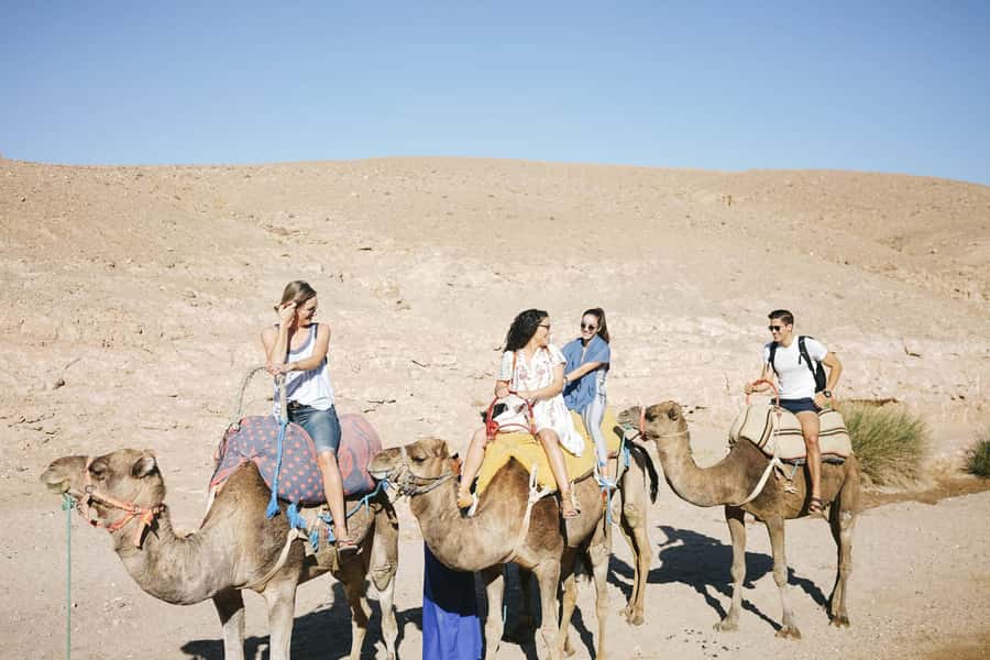 From Marrakesh: Agafay Desert Quad Biking, Camels & Dinner - Who will enjoy this outing most