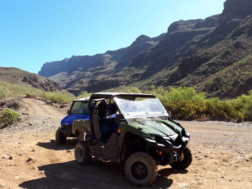 From Maspalomas: Volcanic Landscapes 4-Seater Buggy Tour - The Guide, Commentary, and Pace of the Group