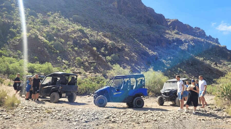From Maspalomas: Volcanic Landscapes 4-Seater Buggy Tour - Price and Whether It Delivers Enough