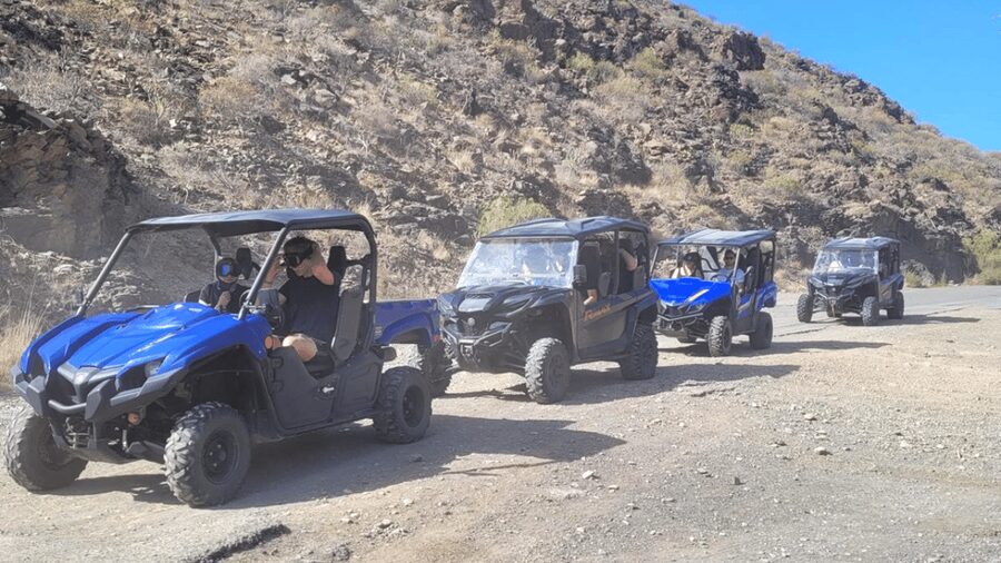 From Maspalomas: Volcanic Landscapes 4-Seater Buggy Tour - Who Will Enjoy This Most?