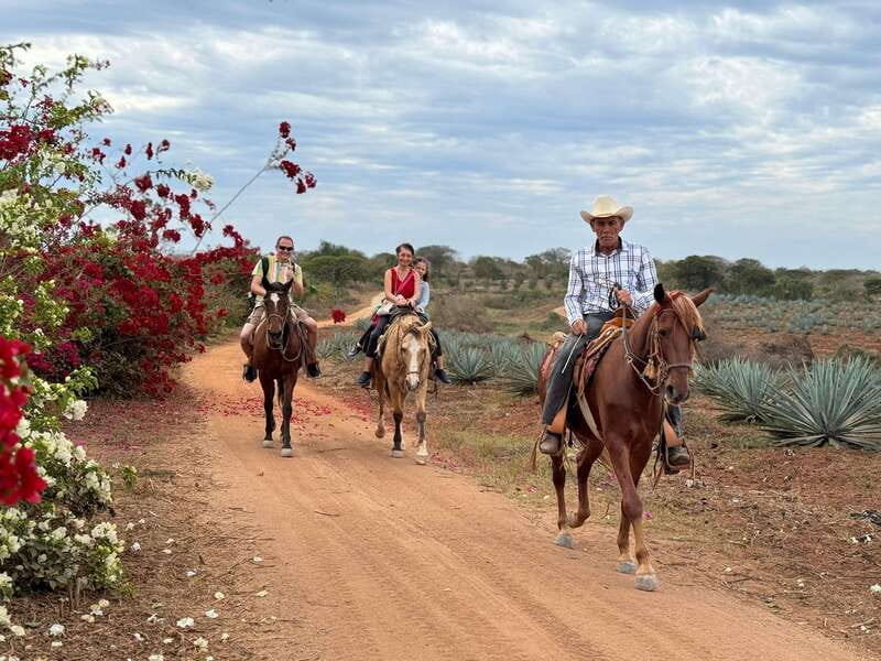 From Mazatlan: ATV & Horse Back riding with Tequila Tasting - From beach tracks to agave fields