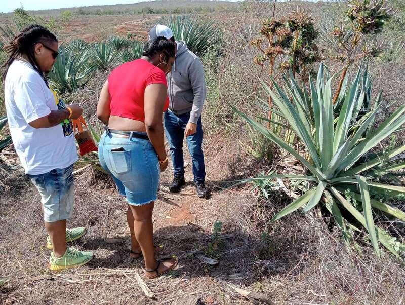 From Mazatlan: ATV & Horse Back riding with Tequila Tasting - Tasting mezcal at the factory