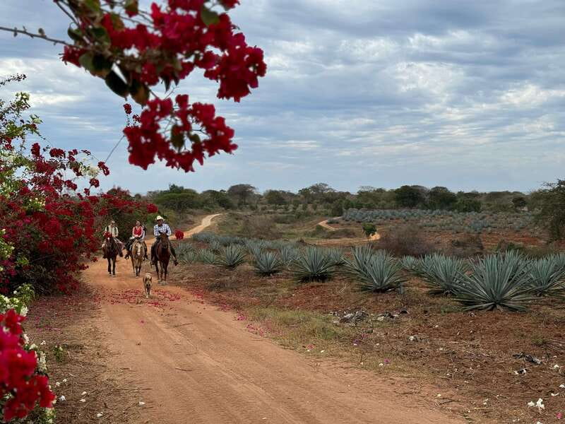 From Mazatlan: ATV & Horse Back riding with Tequila Tasting - What the $210 price really buys