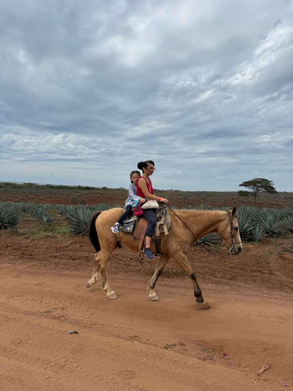 From Mazatlan: ATV & Horse Back riding with Tequila Tasting - Who will enjoy this outing most