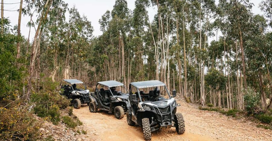 From Porto: Off-Road Buggy Adventure - Five things to know before you book