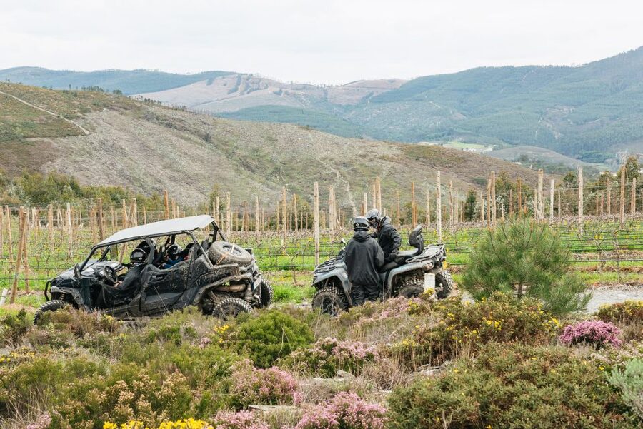 From Porto: Off-Road Buggy Adventure - Why this is a good break from central Porto