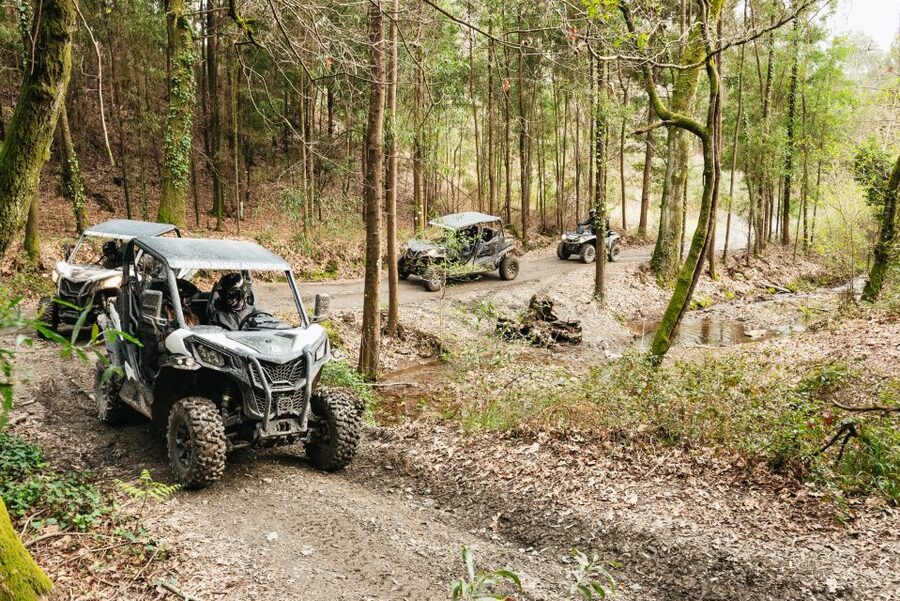 From Porto: Off-Road Buggy Adventure - How dirty, wet, and physical is it?