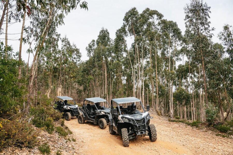 From Porto: Off-Road Buggy Adventure - The guides make a real difference