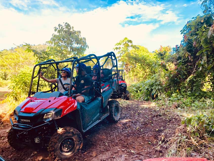 From Punta Cana: Jungle Buggy Adventure to Anamuya River - From Punta Cana to the Anamuya Mountains