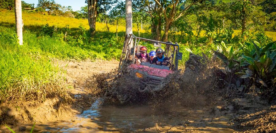 From Punta Cana: Jungle Buggy Adventure to Anamuya River - The jungle route and its changing pace