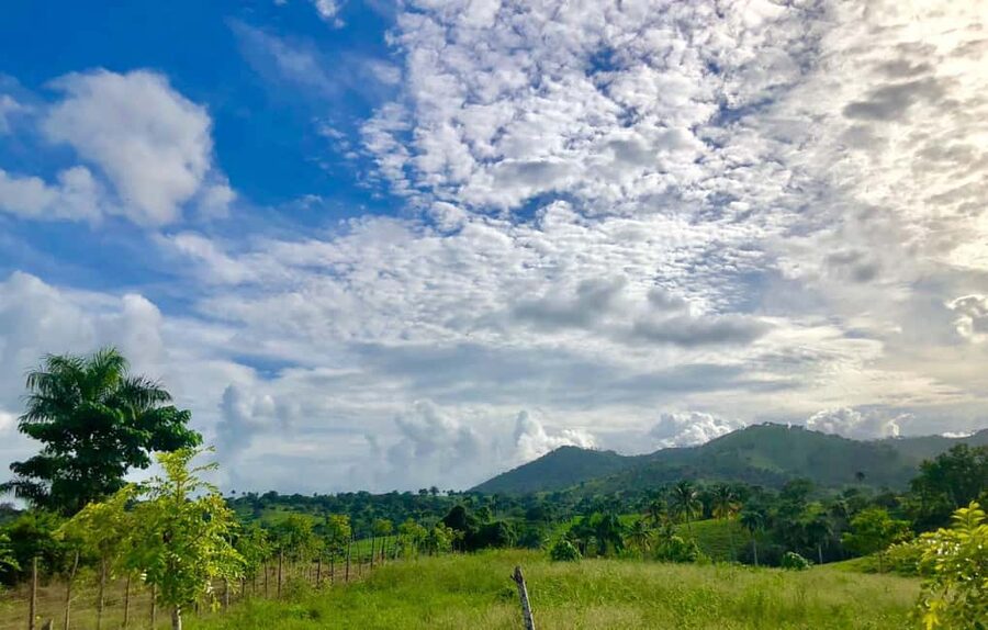 From Punta Cana: Jungle Buggy Adventure to Anamuya River - Should you book the Anamuya buggy adventure?