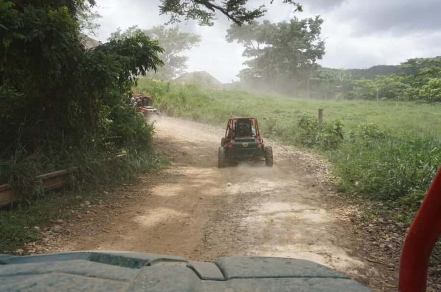 From Punta Cana or La Romana: Sugarcane Fields Buggy or Quad - Key points before you book