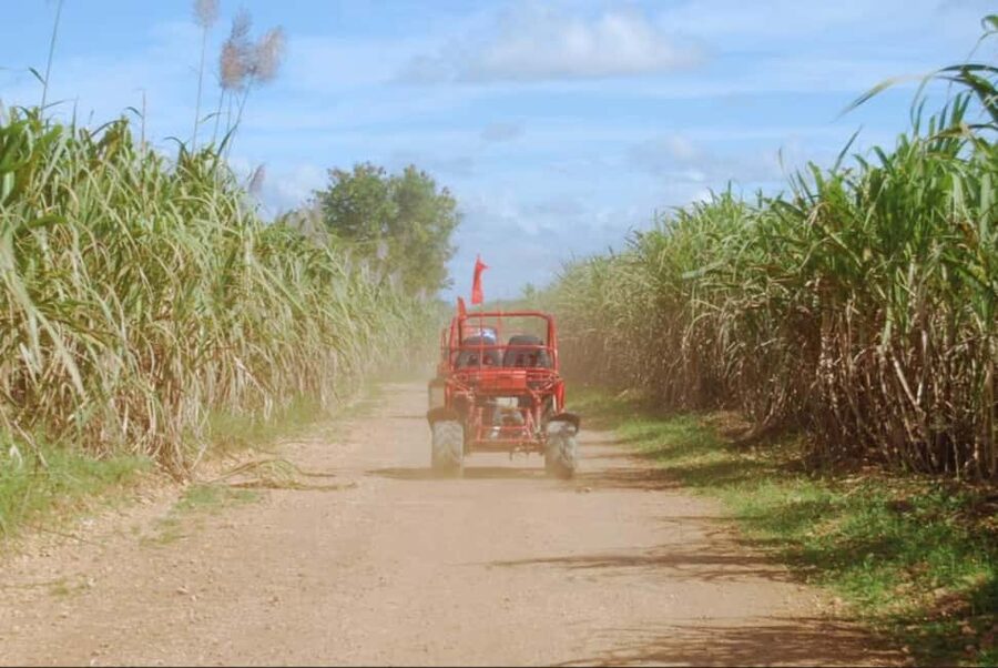 From Punta Cana or La Romana: Sugarcane Fields Buggy or Quad - A rough ride through the Dominican countryside