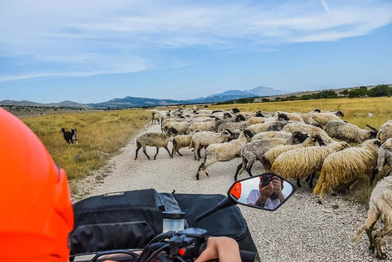 From Split: Full-Day Horse Riding & Quad Biking with Lunch - Horseback riding at Konjički klub Javor