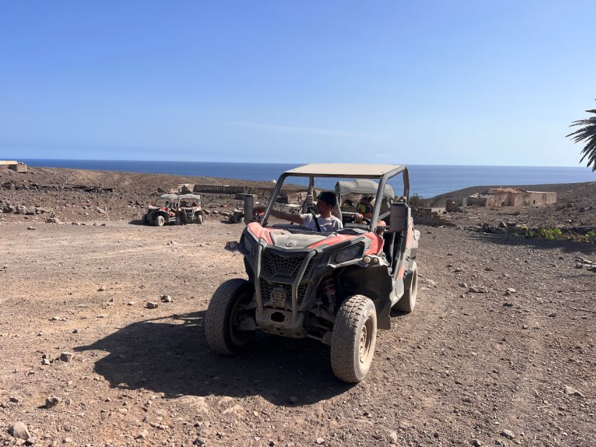 Fuerteventura : 2 hours Buggy Tour in Punta de Jandía - Who Will Enjoy This Buggy Tour Most?
