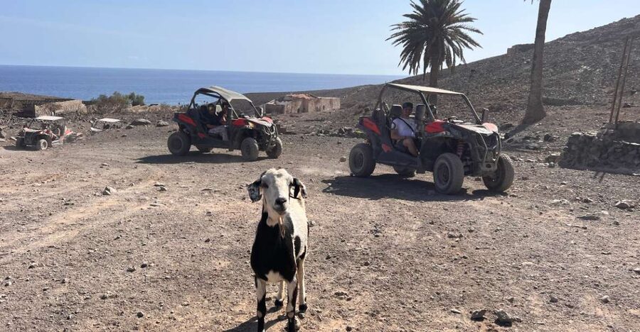 Fuerteventura : 2 hours Buggy Tour in Punta de Jandía - Mountain Roads, Gravel, and Coastal Views