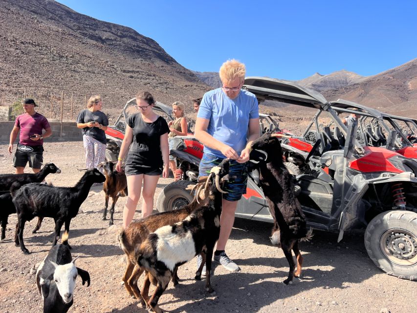Fuerteventura : 2 hours Buggy Tour in Punta de Jandía - Playa de los Ojos and the Limits of the Promise