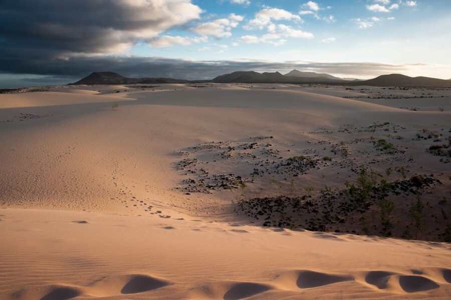 Fuerteventura: Dune Buggy Tour in Northern Fuerteventura - Parque Holandés and the return route