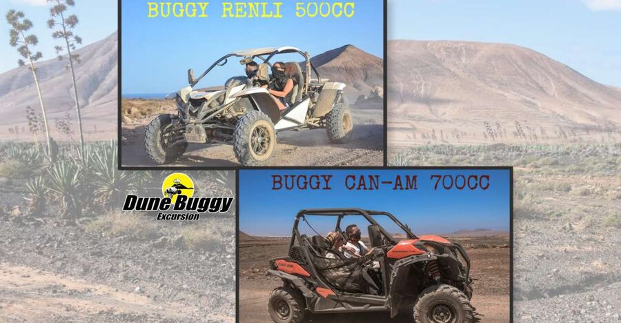 Fuerteventura: Dune Buggy Tour in Northern Fuerteventura - Corralejo dunes: beautiful, protected, and not a sand-driving session