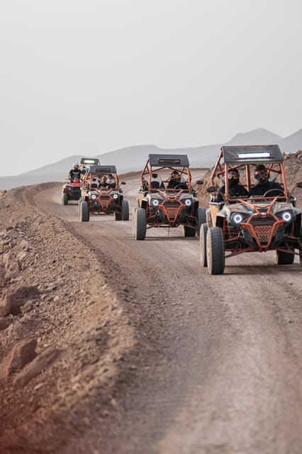 Fuerteventura: Jandía Natural Park & The Puertito Buggy Tour - Key points before you book