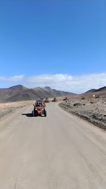 Fuerteventura: Jandía Natural Park & The Puertito Buggy Tour - What this two-hour tour is really like
