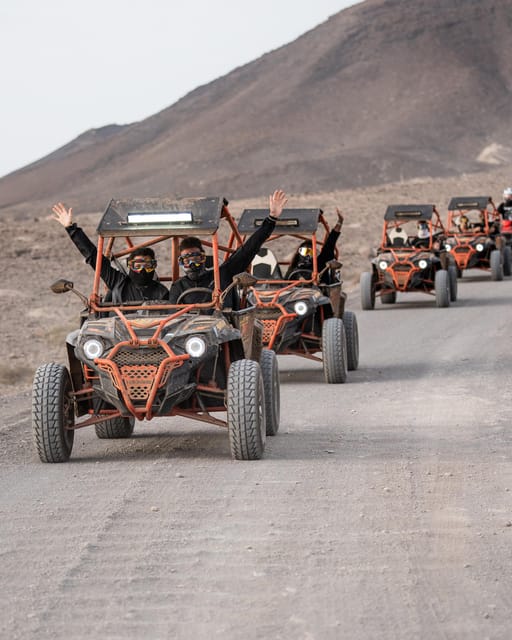 Fuerteventura: Jandía Natural Park & The Puertito Buggy Tour - Wildlife, mountains, and what you may actually see