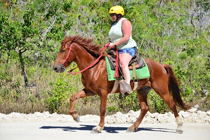 Full Access To Bavaro Adventure Park - With Buggys & Lunch - Dominican lunch, with one important limitation