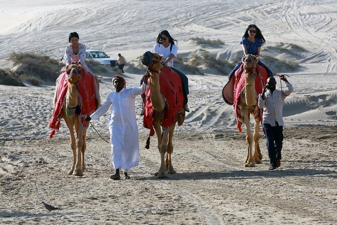 Full-day Qatar desert safari: dune bashing, sandboarding, camels - Why this Qatar desert safari works
