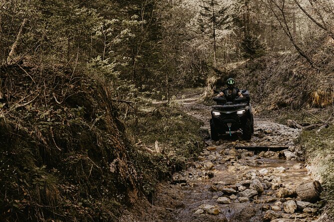 Full-Day Quad Rental in Bled - The cost: good value for an adventurous day