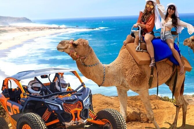 Fun Camel Ride and UTV COMBO with Tequila Tasting! - Key points before you book