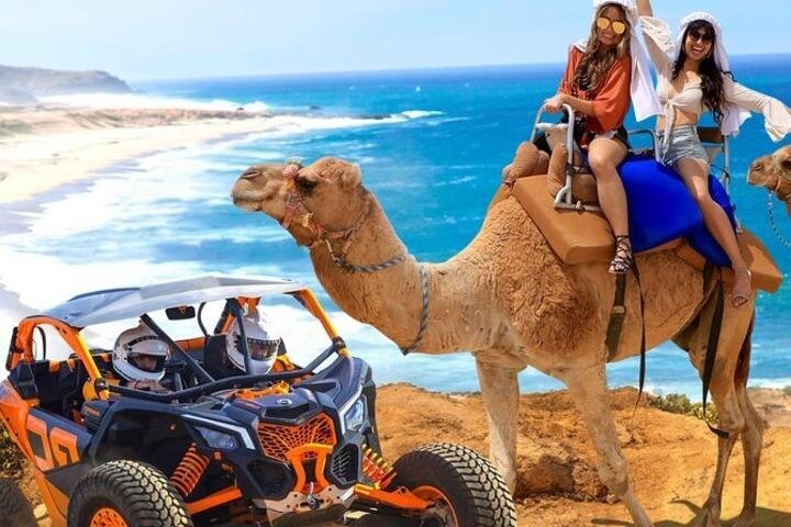 Fun Camel Ride and UTV COMBO with Tequila Tasting! - Timing, weather, and who should book