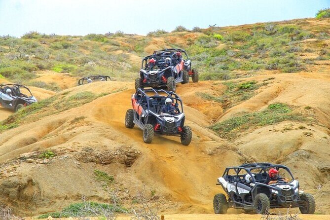 Fun Camel Ride and UTV COMBO with Tequila Tasting! - UTV and ATV routes through the desert
