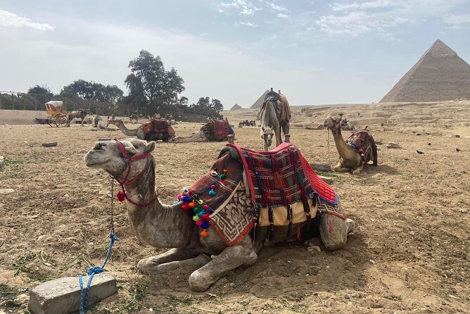 Giza Pyramids,Sphinx,Camel Ride,ATV Bike,Shopping, Dinner cruise - Shopping: useful stop, but keep control of your time