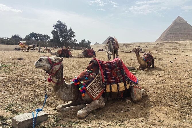 Giza Pyramids,Sphinx,Camel Ride,ATV Bike,Shopping, Dinner cruiseI - The Plateau View and the Great Sphinx