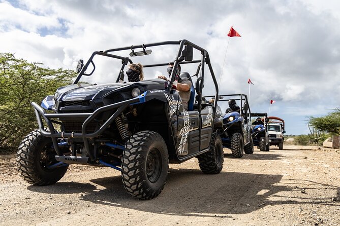 Go West ATV Tour in Curacao - Zoutpannen: salt flats and flamingo watching