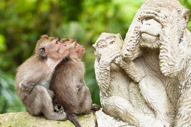 Gorilla Cave ATV Bali Ubud, Monkey Forest, Temple, and Lunch - Key points before you book