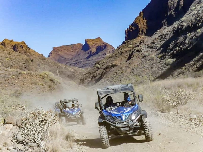 Gran Canaria: Off-Road Buggy Adventure in the Canyons - Who will enjoy it most