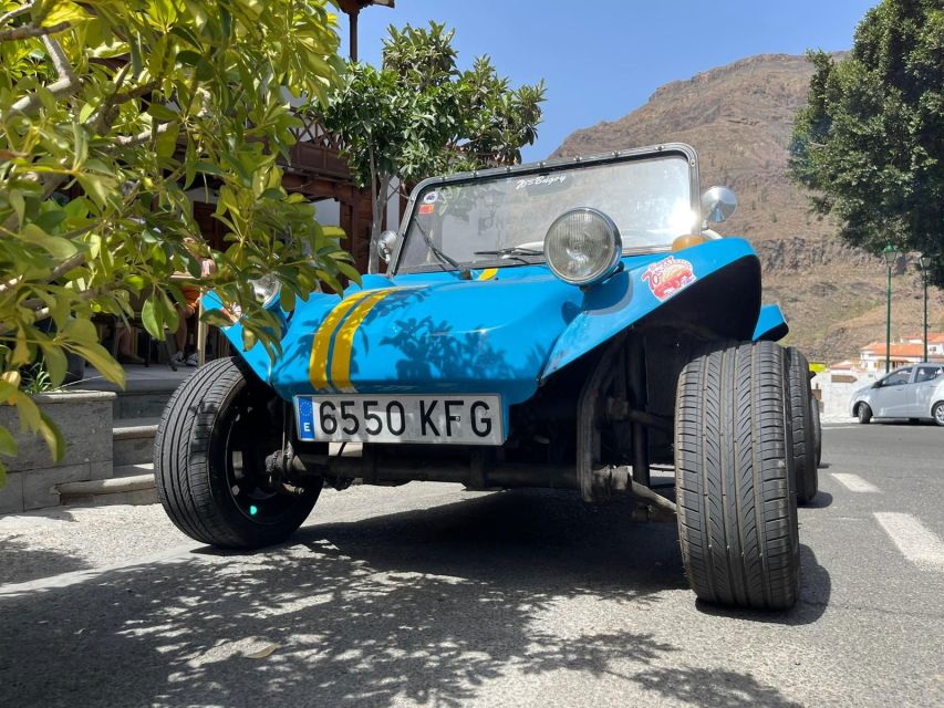 Gran Canary: 70's VW Buggy Tour - Key points to know before booking