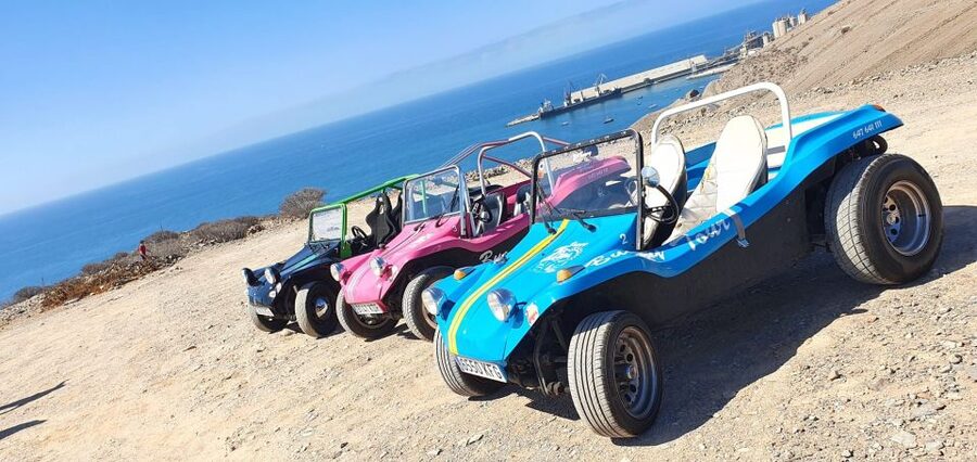 Gran Canary: 70's VW Buggy Tour - The guide makes a big difference