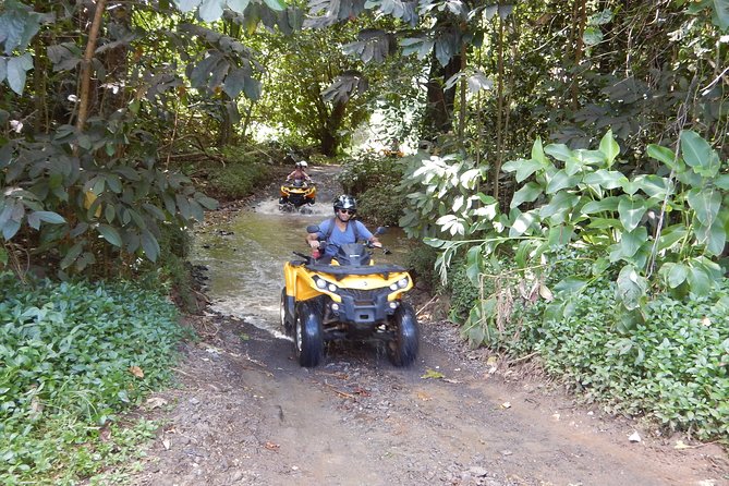 Grand Magic Combo Jetski 3h00 + Quad 3h30 - Pineapple fields at Lycee Agricole Opunohu