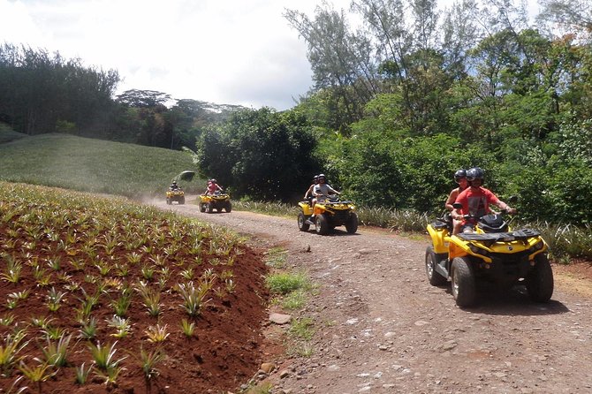 Grand Tour Quad Excursion in Moorea (Single or Two-Seater) - Belvedere Lookout and the twin bays
