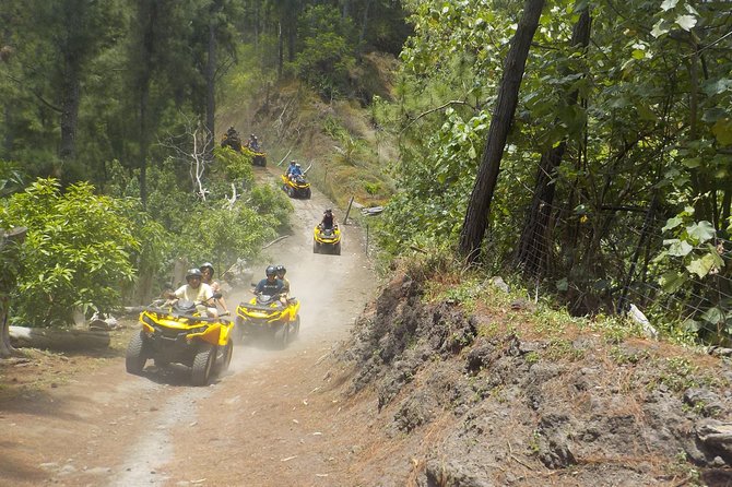 Grand Tour Quad Excursion in Moorea (Single or Two-Seater) - Fare Tutava for fruit, jam, and a cool break
