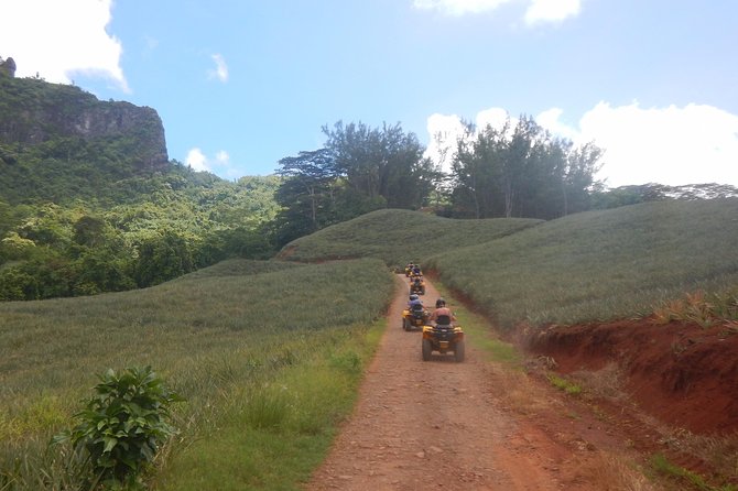 Grand Tour Quad Excursion in Moorea (Single or Two-Seater) - Magic Mountain delivers the big view